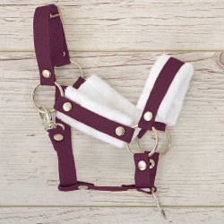 Head collar and hobby horse lead rope