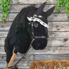 Black fly Veils for hobby horse