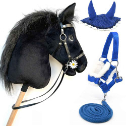 Hobby Horse with cheap blue head collar and fly Veils
