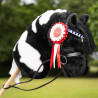 Set of 3 rosette ribbons for hobby horse