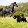 Mini cheval en peluche noir frison Spike - Lemieux