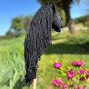 Mini Hobby Horse Noir pas cher
