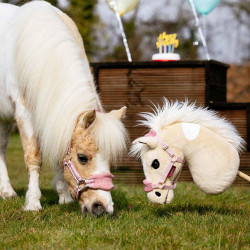 Hobby Horse Palomino Lemon Size L by Lemieux