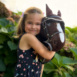 Hobby Horse bai A3 avec Filet, licol, longe et bonnet marron Gold -  Jump Star