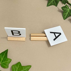 Arena Letters and Obstacle Numbers for Hobby Horsing