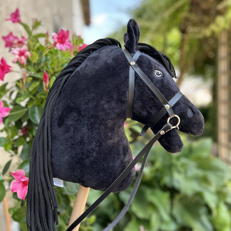 Ensemble d'accessoires Hobby Horse Rose et Noir : licol + longe +