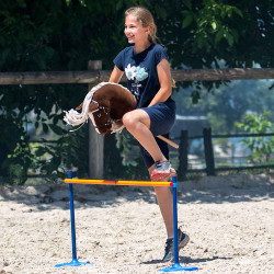 Hobby Horse A3 Sunny Dream Crins Lavés avec Filet Scintillant
