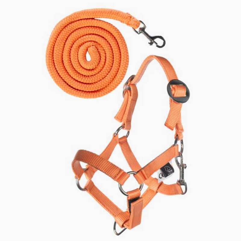 Head collar orange adjustable for hobby horse A3