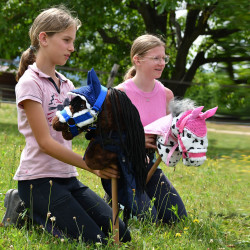 Pack Hobby Horse Harmony : licol et bonnet ROSE