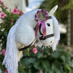 Rosette flot médaille pour hobby horse