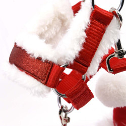 Ensemble de Noël pour Hobby Horse : Bonnet rouge, licol et longe