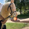 Set de Découpe de Fruits en Bois pour Hobby Horse