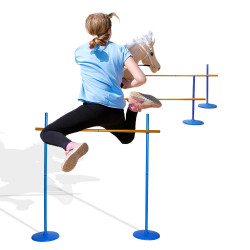 Modular hurdles for hobby horsing