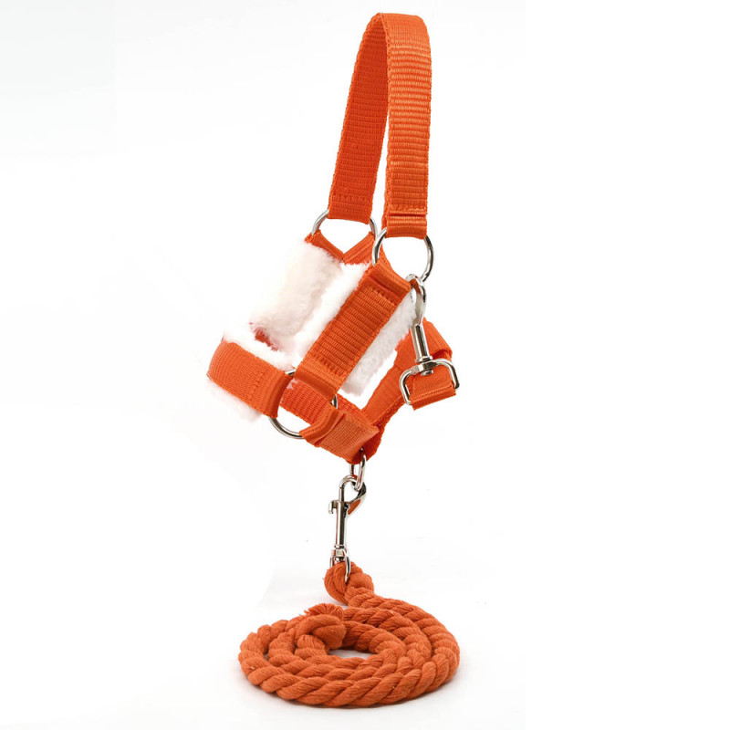 Licol orange et longe pour hobby horse