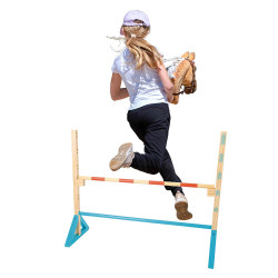 Adjustable height hobby horse obstacle