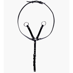 Martingale for hobby horse