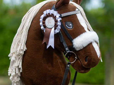 Filet pour hobby horse : tout savoir pour bien choisir