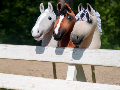 Histoire des hobby horse, un passe-temps intemporel