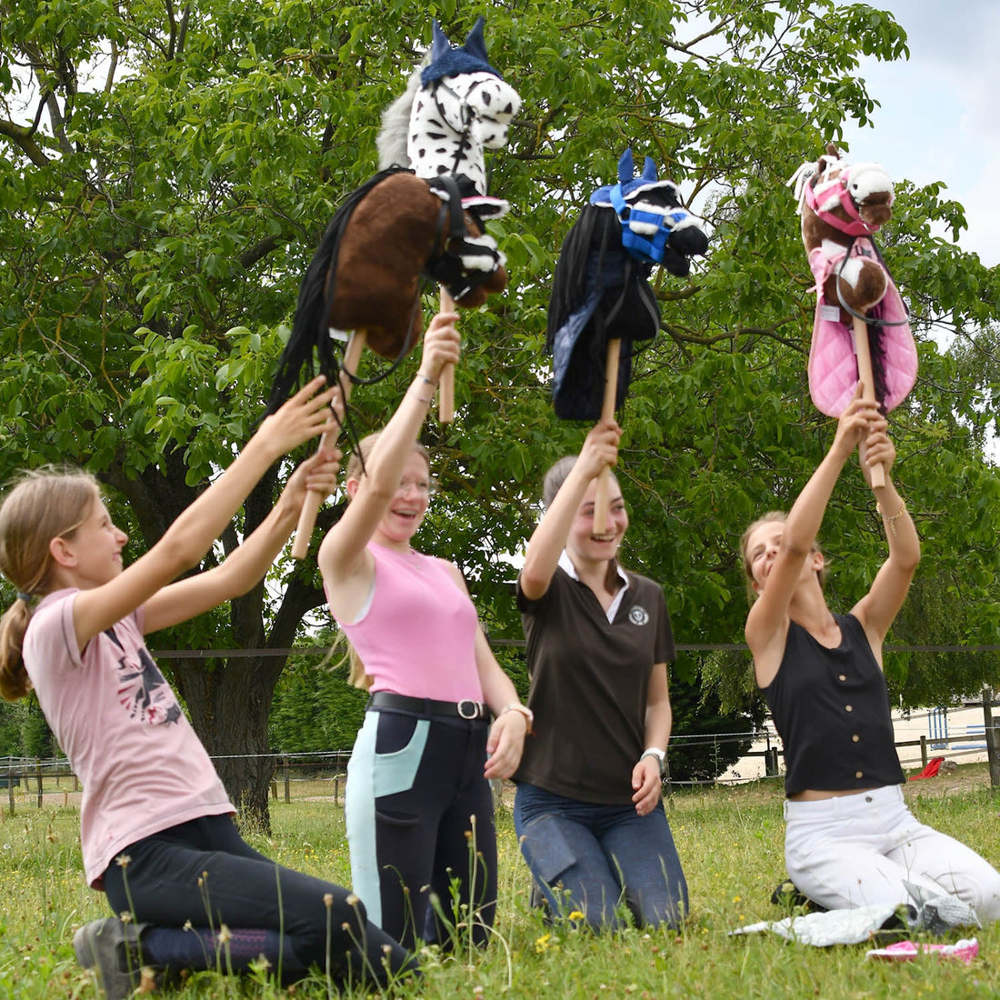 Hobby Horse