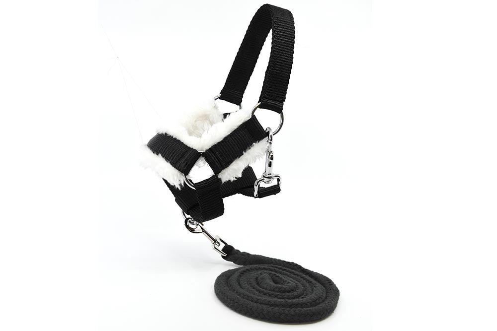 Ensemble Hobby Horse Black Star, frison noir avec filet, licol, longe et bonnet noirs et blancs - Taille A3