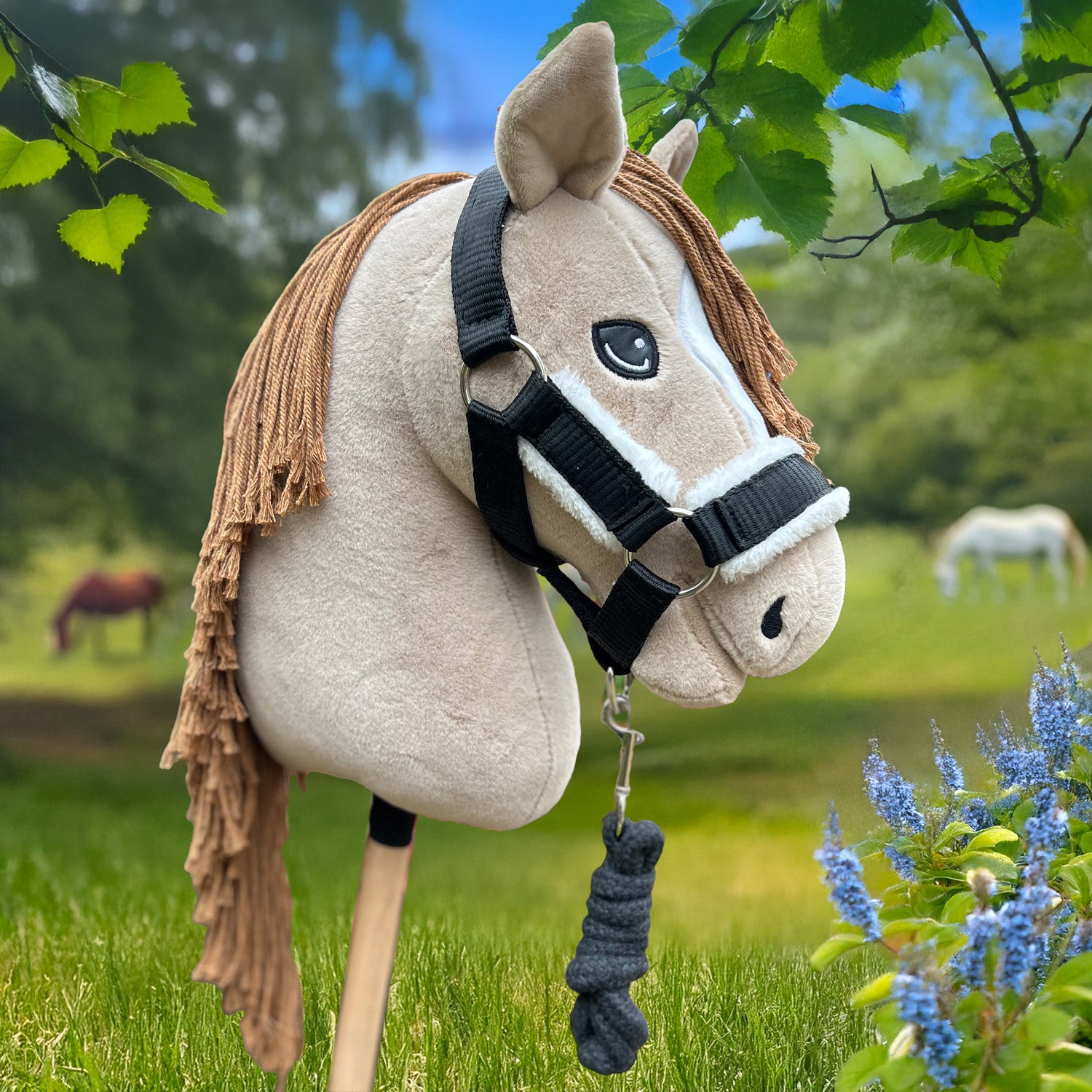 Ensemble Hobby Horse Perlino avec filet, licol, longe et bonnet noirs - Taille A3