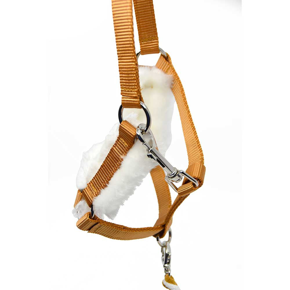 Pack complet Hobby Horse Quater Horse Palomino + filet + licol + longe + bonnet