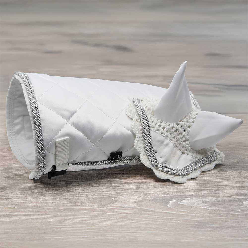 accessoires équipements pour hobby horse