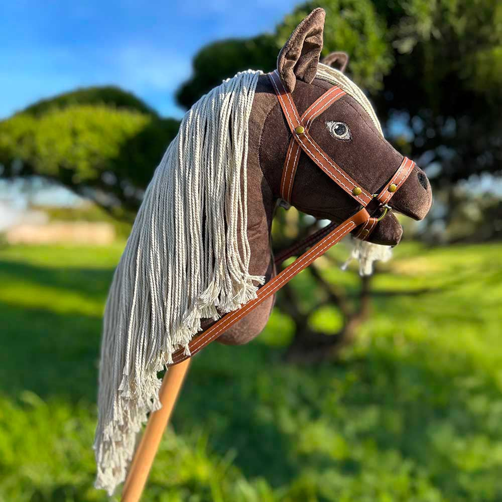 Le hobby horsing : le sport tendance sur cheval bâton – débuter, disci Le hobby horsing : le sport tendance sur cheval bâton – débuter, disci