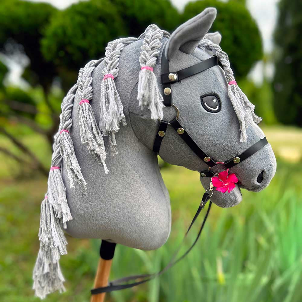 Kit de Coiffure Hobby Horse : Brosse, Élastiques et Flot en cadeau