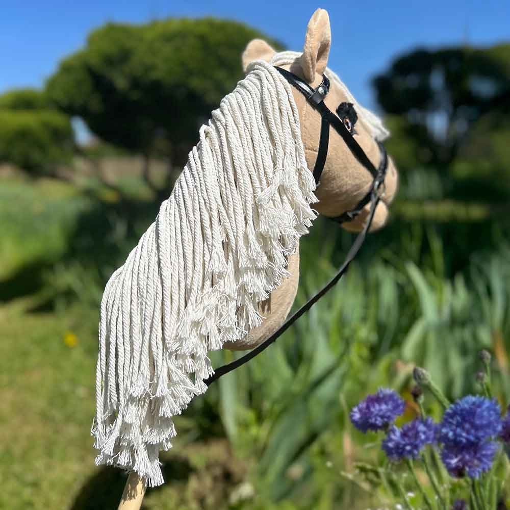 Hobby Horse Palomino des Hautes Plaines - Sun Dancer