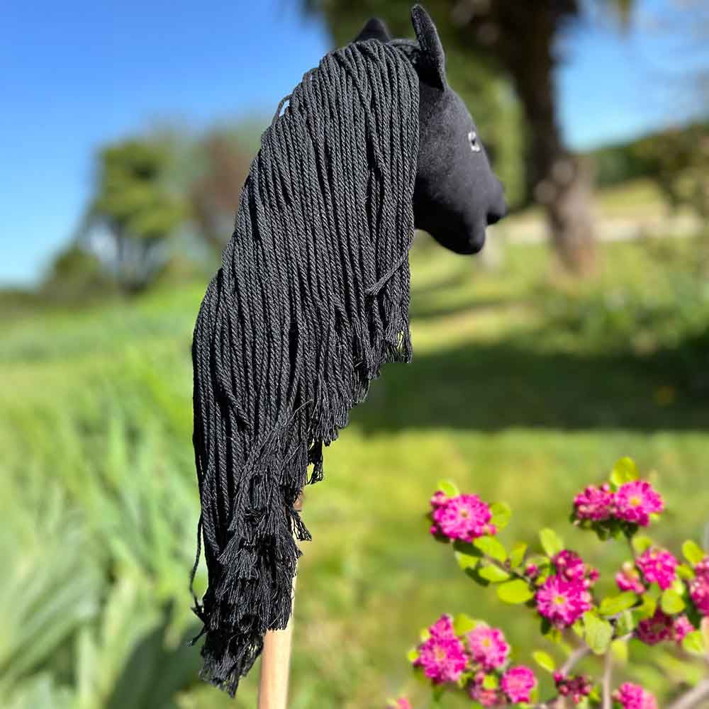 Mini Hobby Horse Noir pas cher