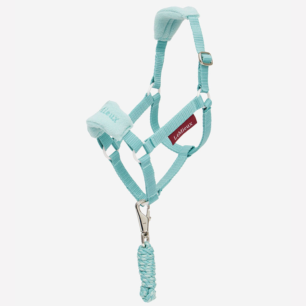 Hobby Horse licol Vogue Turquoise