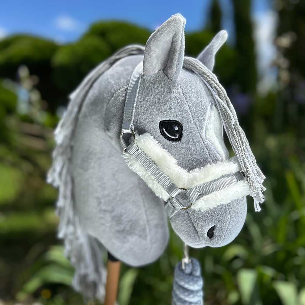 Pack Hobby Horse Harmony : licol et bonnet Gris Argenté