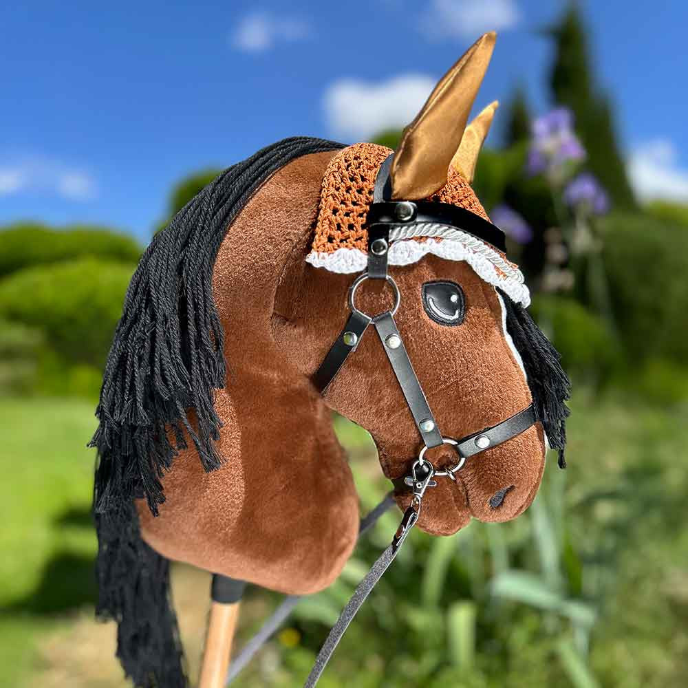 Pack Hobby Horse Harmony : licol et bonnet marron gold
