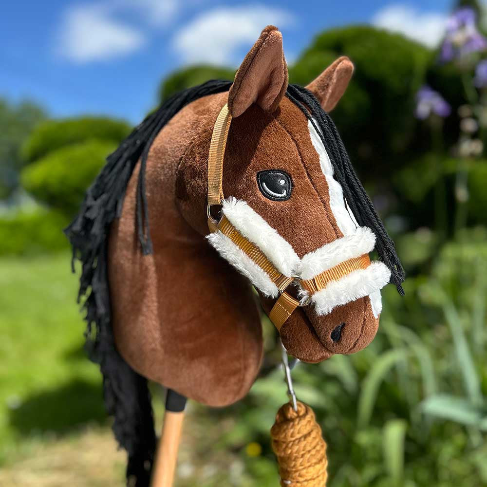 Hobby Horse bai A3 avec Filet, licol, longe et bonnet marron Gold -  Jump Star