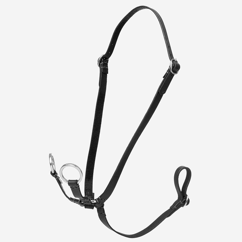 Martingale en cuir marron pour Hobby Horse