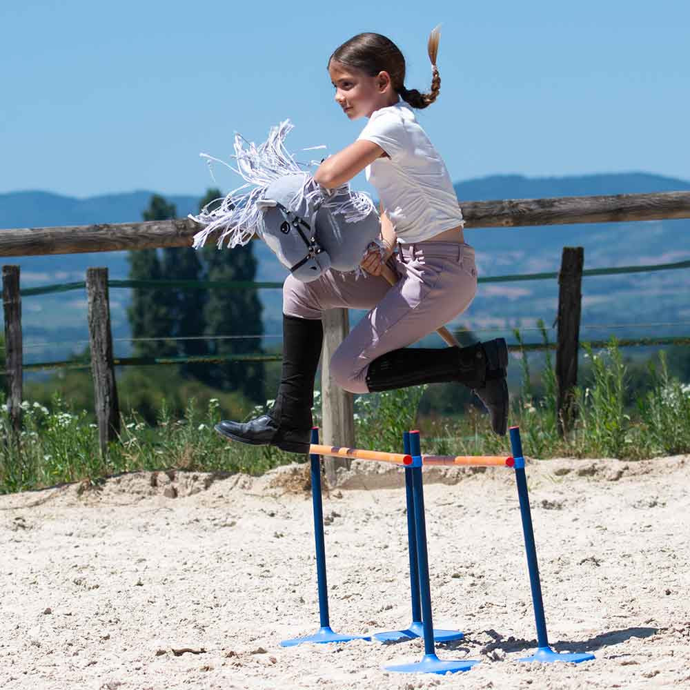 obstacle hobby horsing