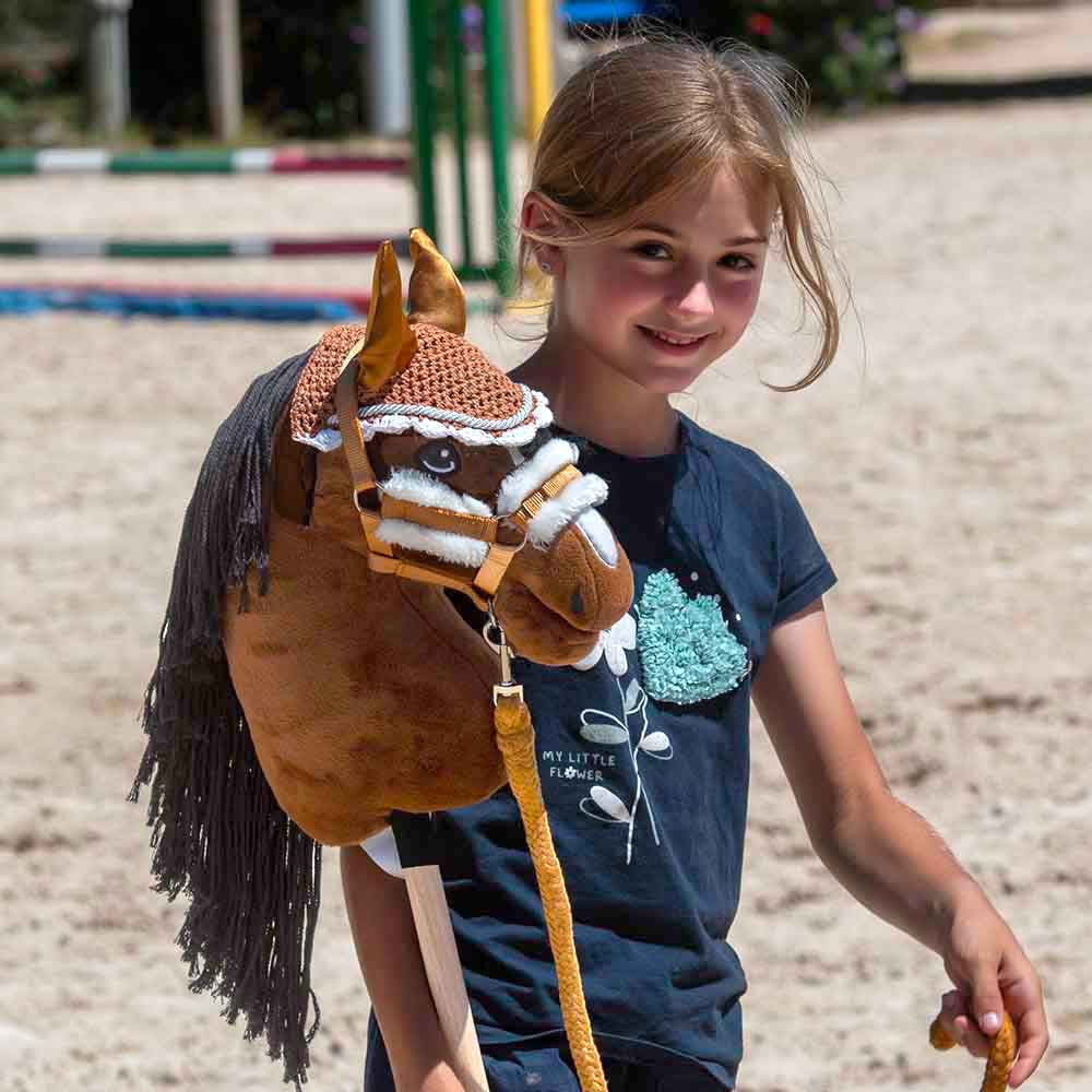 accessoires pour hobby  horse pas chers
