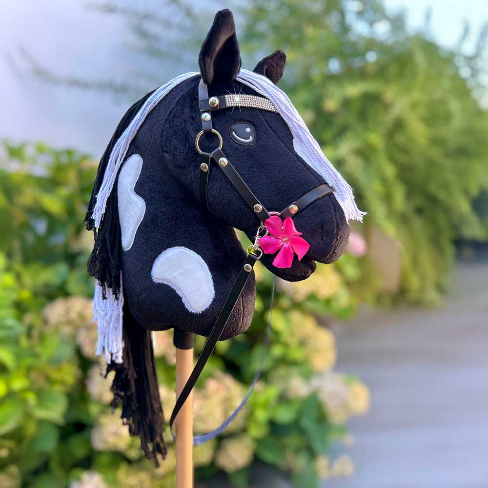 Hobby Horse A3 Pie Noir Black Diamond avec Filet Scintillant