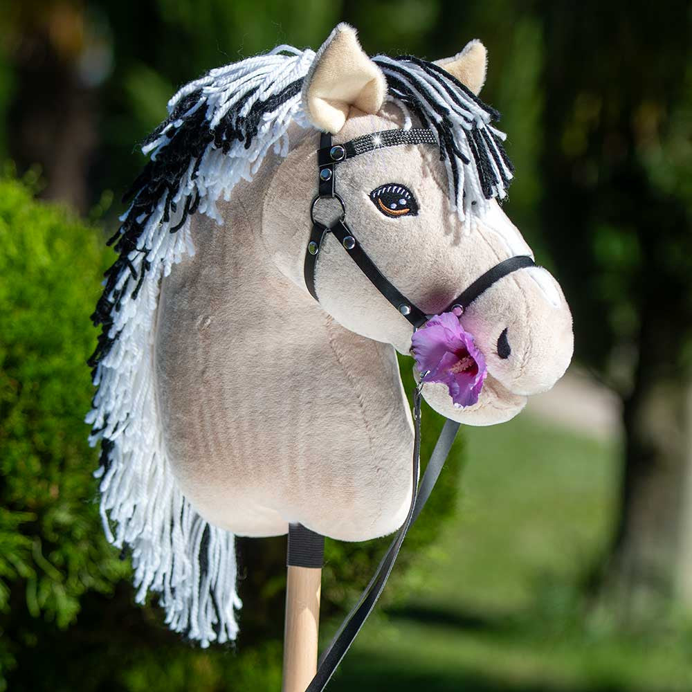 Hobby Horse Fjord avec Filet Scintillant - Taille A3