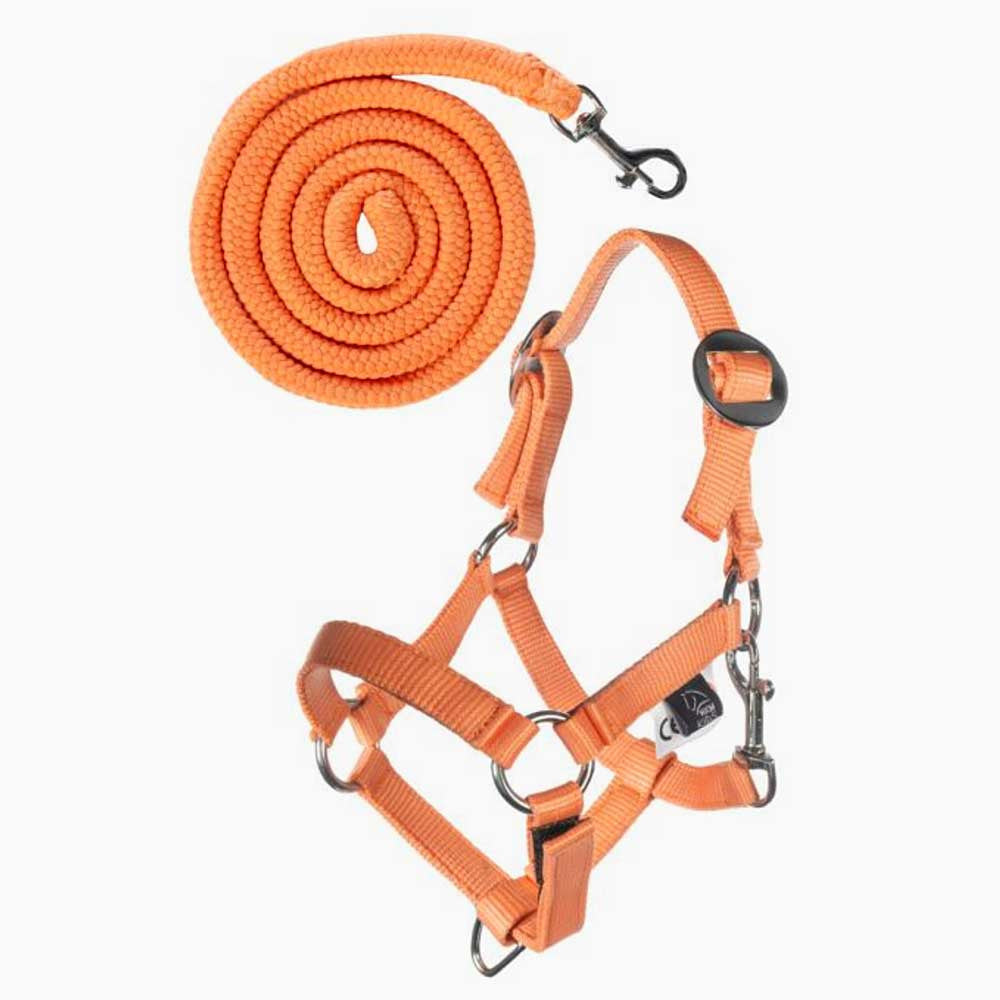 Licol orange réglable pour hobby horse A3