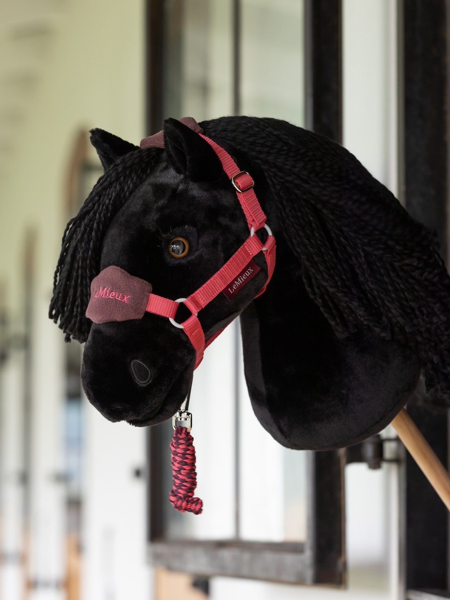 Hobby Horse Vogue Headcollar Cranberry by Le Mieux
