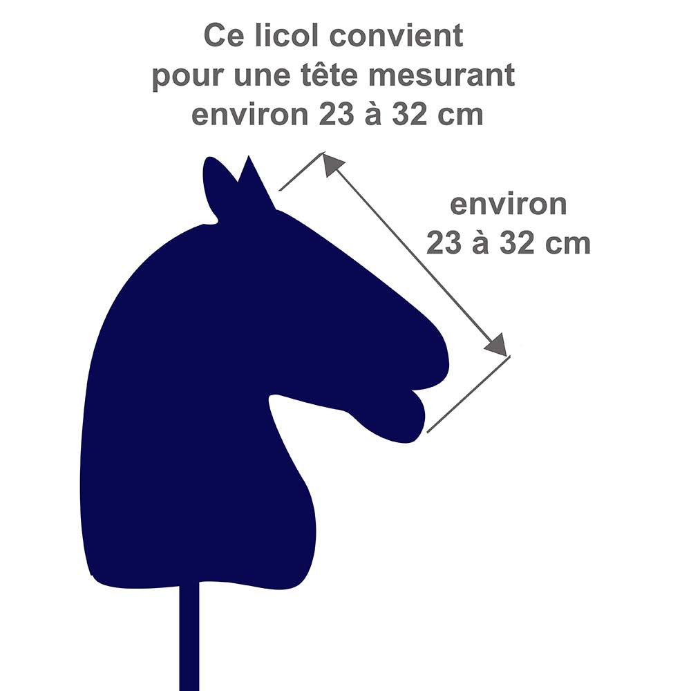 Ensemble avec licol en moumoute noir, longe noire et bonnet rose et noir pour hobby horse