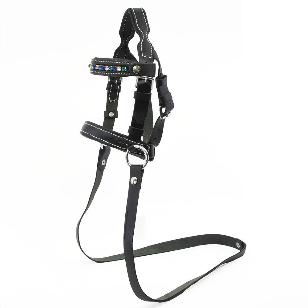 filet pour hobby horse avec strass bleus