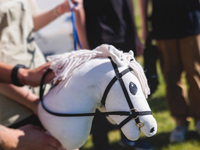 Compétitions et concours de hobby horse