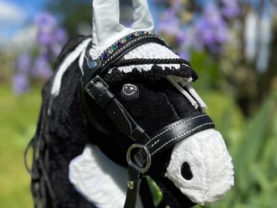 Filet pour hobby horse : tout savoir pour bien choisir